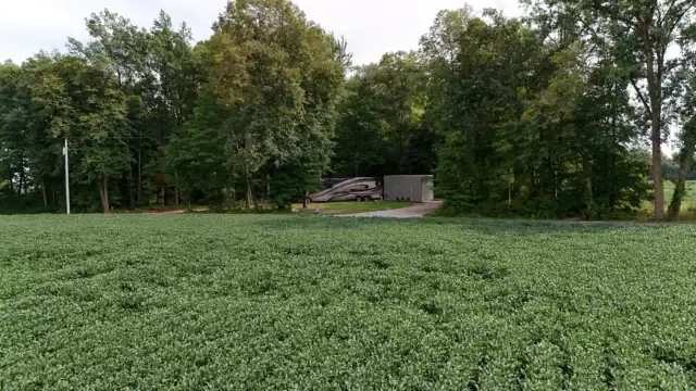 Private campsite in woods on Hipcamp in Bremen, IN