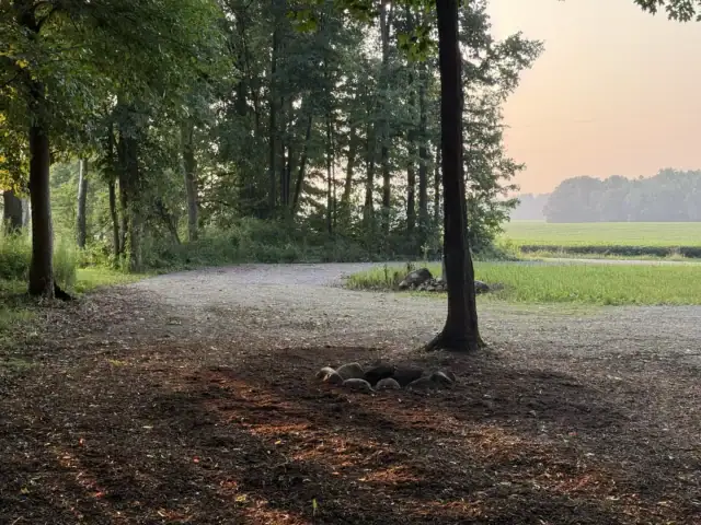 Private campsite in woods on Hipcamp in Bremen, IN